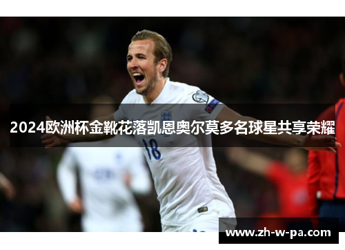 2024欧洲杯金靴花落凯恩奥尔莫多名球星共享荣耀