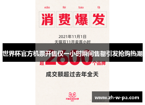 世界杯官方机票开售仅一小时瞬间售罄引发抢购热潮 世界杯官方机票开售仅一小时瞬间售罄引发抢购热潮