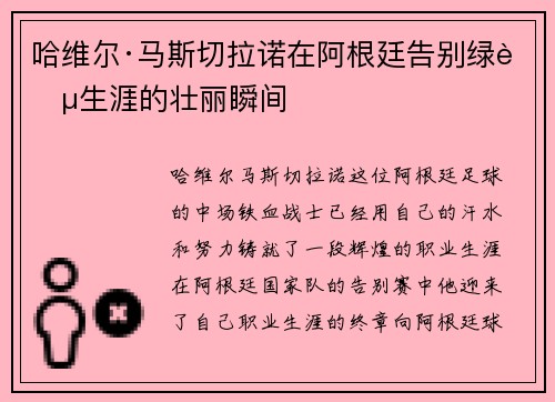 哈维尔·马斯切拉诺在阿根廷告别绿茵生涯的壮丽瞬间 哈维尔·马斯切拉诺在阿根廷告别绿茵生涯的壮丽瞬间