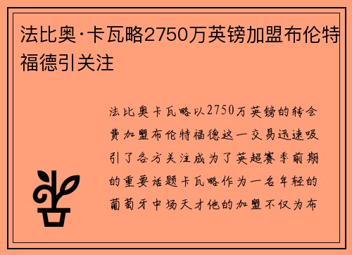 法比奥·卡瓦略2750万英镑加盟布伦特福德引关注